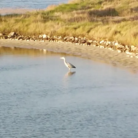 Nostress -villa-studio- 8 Pers By Interhome Noirmoutier-en-l'Ile